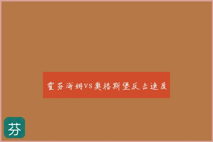 霍芬海姆vs奥格斯堡反击速度