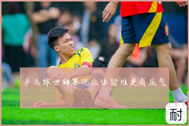 乒乓球世锦赛观众体验谁更有底气